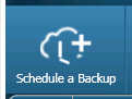 10. Schedule a Backup tab