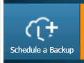 1. Schedule a Backup tab